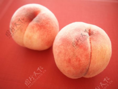 成熟的桃子图片