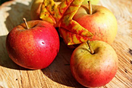 秋天红苹果图片