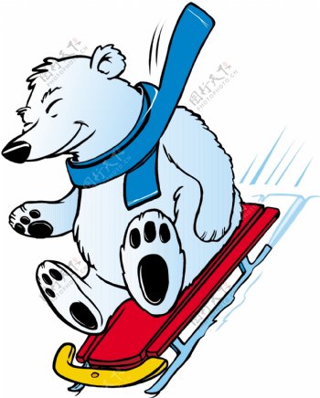 北极熊的雪橇