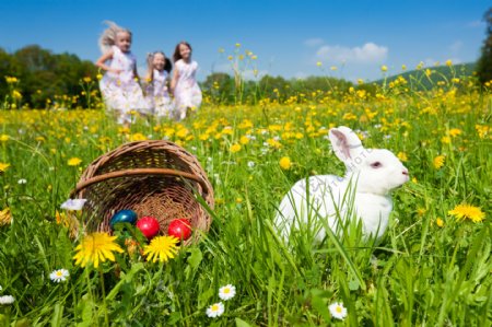 花丛里的复活节兔子与彩蛋图片