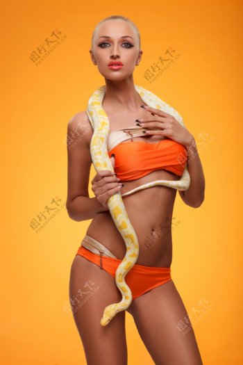 黄金蟒蛇缠绕的女人图片