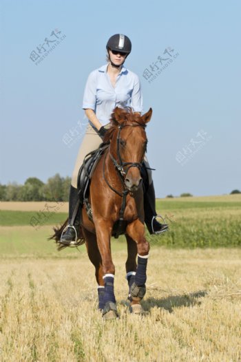 田园里骑马的女孩图片
