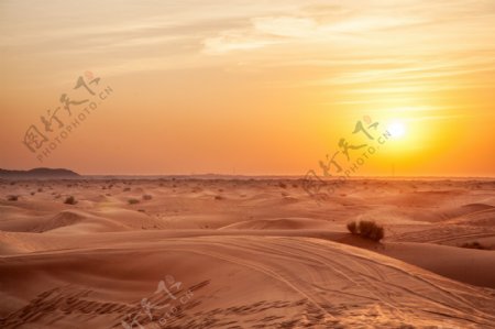 日出沙漠风景