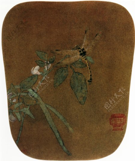 豆花蜻蜓图镜片中国古画0038