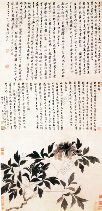 牡丹图花鸟画中国古画0192