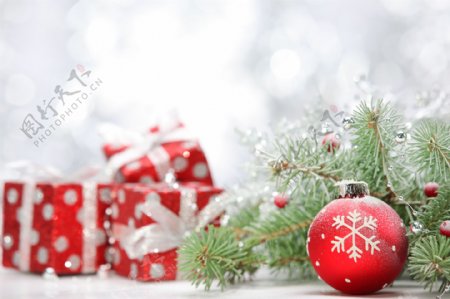 梦幻圣诞礼物与树枝背景图片