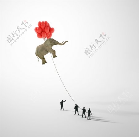 用气球飞上天空的大象图片