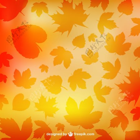 秋天的树叶剪影图案