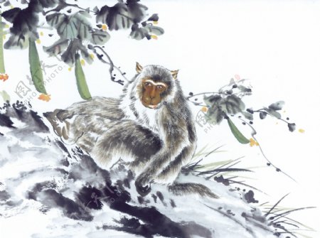猴子十二生肖中国画0056