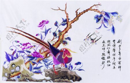 古代插图鸟语花香059