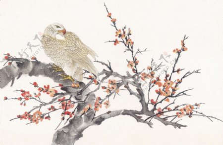 花鸟中国画31