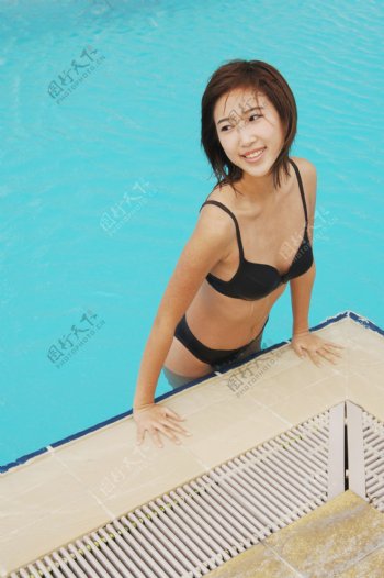 游泳的性感美女图片