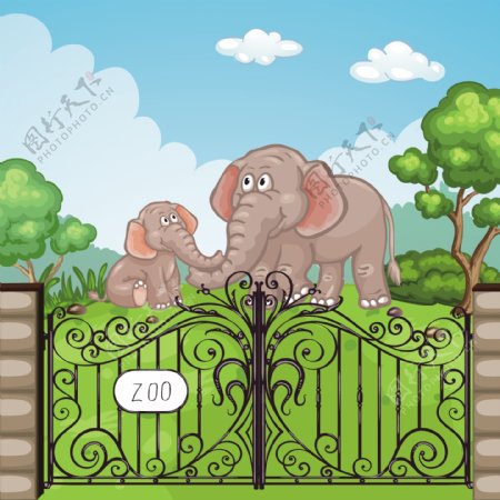 动物园里两只大象