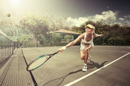 网球美女运动员图片