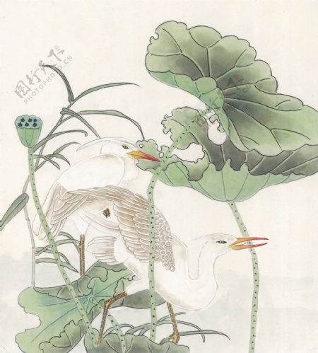 花鸟中国画24