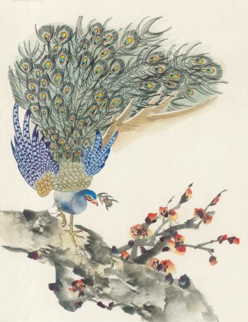 花鸟中国画50