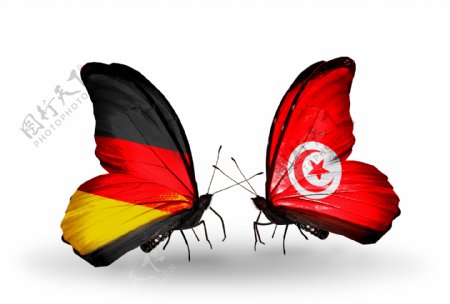 德国与以色列国旗蝴蝶