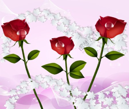 玫瑰花卉素材装饰