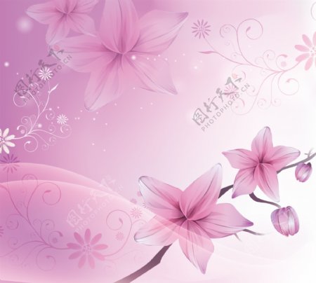 粉红花卉背景墙
