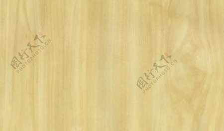 枫木33木纹木纹板材木质