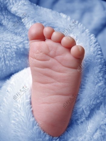 宝宝小脚图片婴儿的小脚高清图片下载