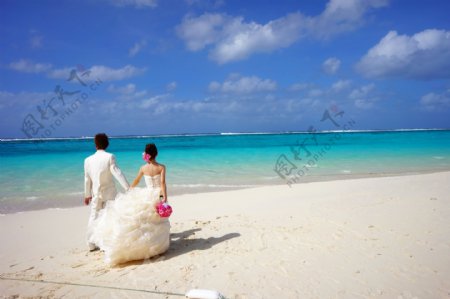 唯美海边婚纱照图片