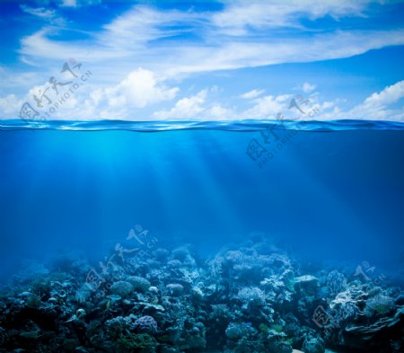 蓝天下清澈的海底世界