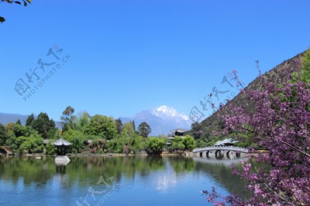 玉龙雪山图片