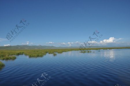 美丽的湿地公园风景图片