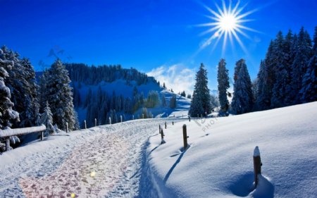寒冬雪景图片
