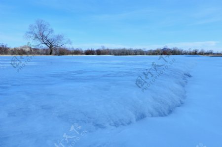 雪景图片