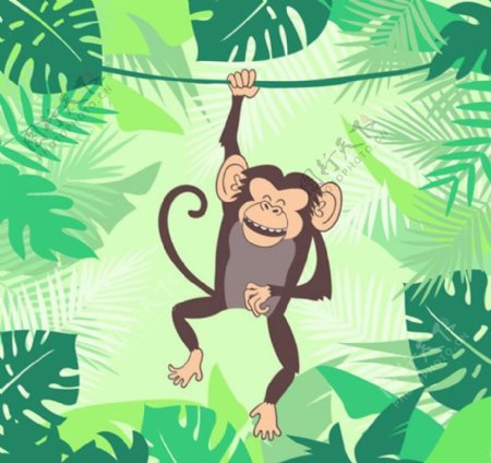 森林里的猴子矢量素材下载