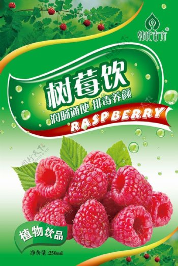 树莓饮植物饮品包装设计psd素材下载