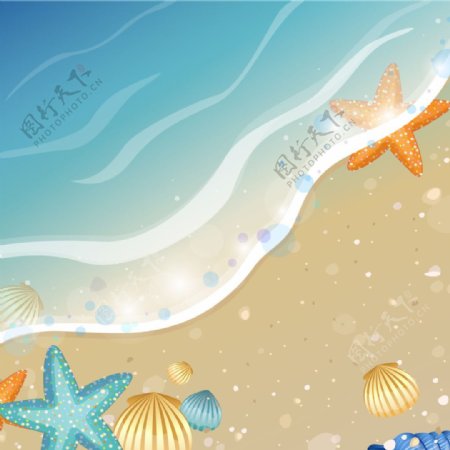 夏季海星贝壳背景