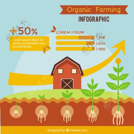 布朗农场和农业infography