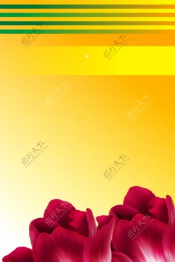 玫瑰花制度设计