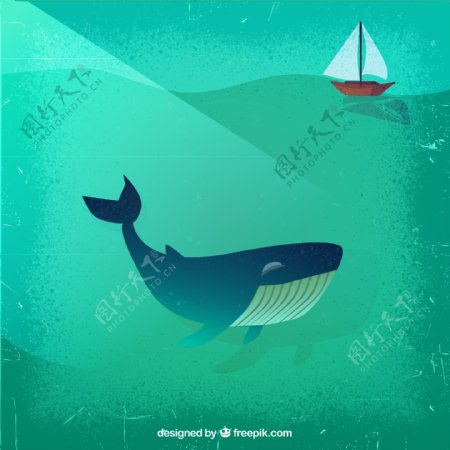 创意鲸鱼和帆船矢量素材