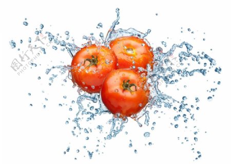 西红柿与飞溅水花图片