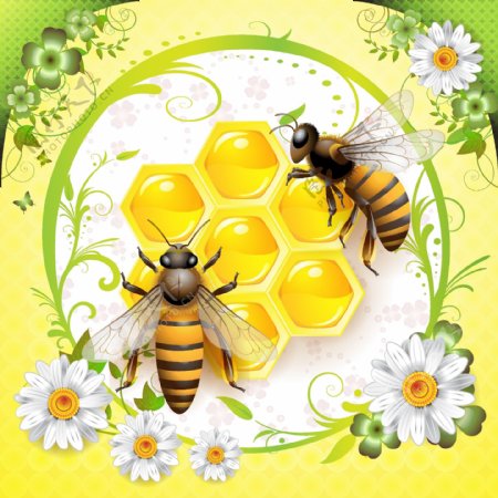 蜜蜂与蜜蜂的图形