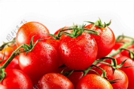 新鲜的西红柿摄影图片