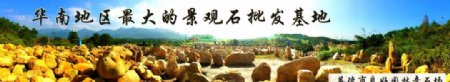 广东黄蜡石园林设计石