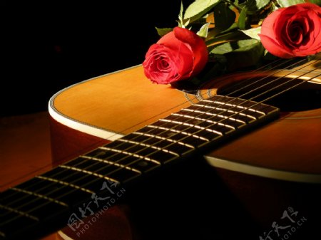 吉他上的玫瑰图片