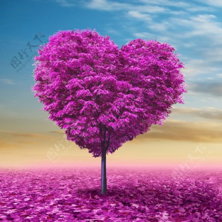 心型爱情树图片素材