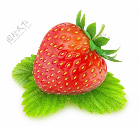 可口美味的草莓图片