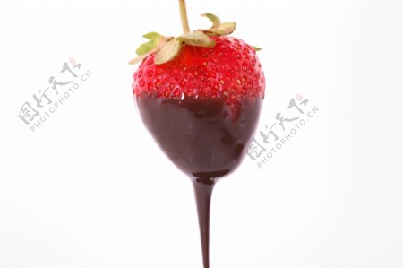 新鲜草莓巧克力图片