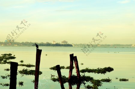 清新湖泊风景图片