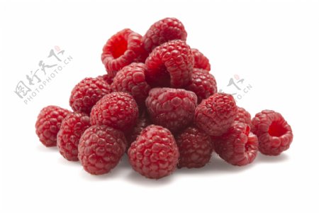 新鲜的红树莓水果图片