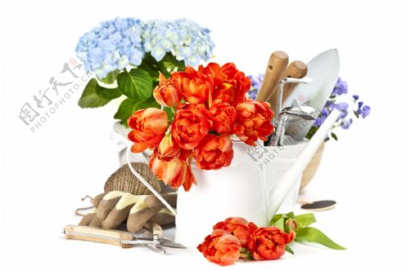 花卉和园林工具