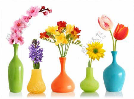花瓶与花朵