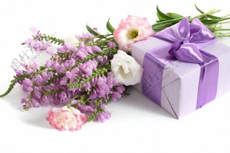 花朵与礼盒摄影
